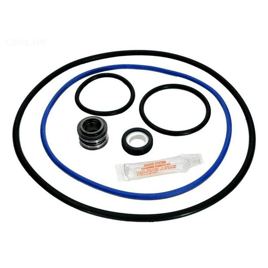 Epp - Hayward NorthStar 4000 Series Pool Pump O-Ring Kit