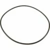 Jacuzzi - Lid O-Ring For J-C150 Filter