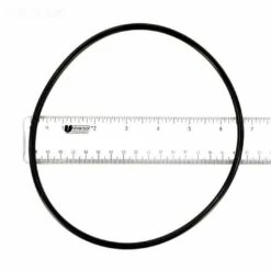 Polaris - O-ring, Backplate